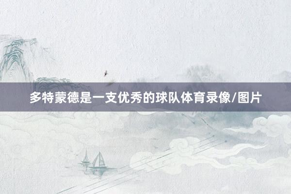多特蒙德是一支优秀的球队体育录像/图片