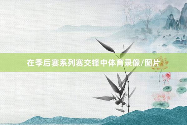 在季后赛系列赛交锋中体育录像/图片
