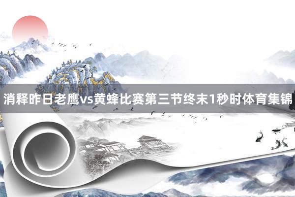 消释昨日老鹰vs黄蜂比赛第三节终末1秒时体育集锦
