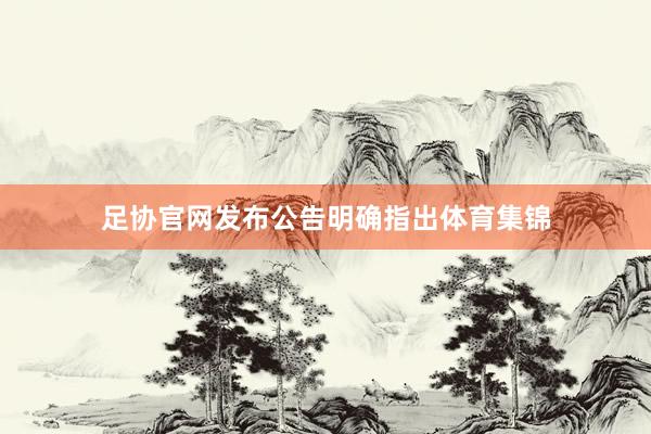 足协官网发布公告明确指出体育集锦