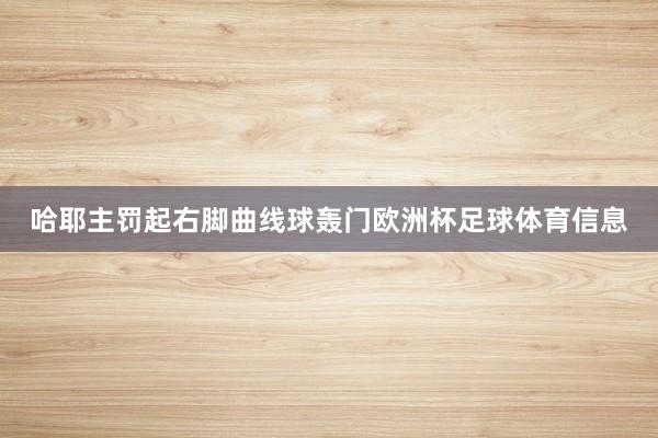 哈耶主罚起右脚曲线球轰门欧洲杯足球体育信息