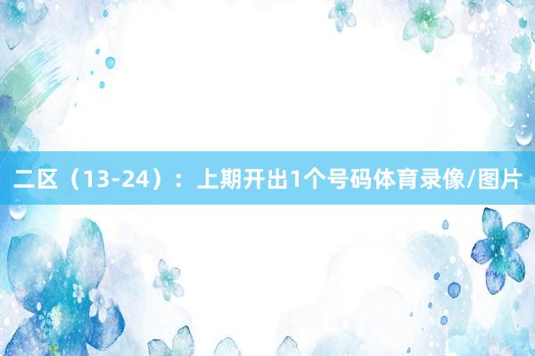 二区（13-24）：上期开出1个号码体育录像/图片