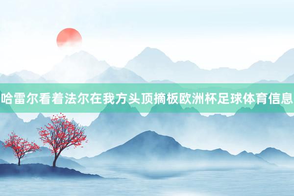 哈雷尔看着法尔在我方头顶摘板欧洲杯足球体育信息
