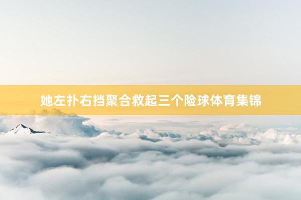 她左扑右挡聚合救起三个险球体育集锦