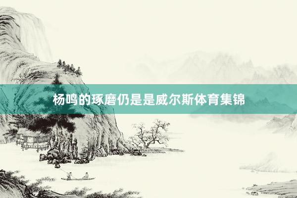 杨鸣的琢磨仍是是威尔斯体育集锦