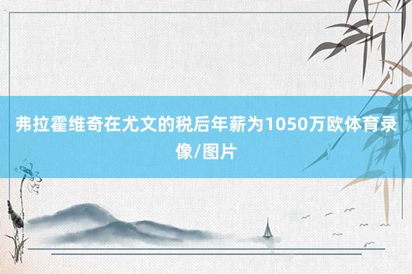 弗拉霍维奇在尤文的税后年薪为1050万欧体育录像/图片