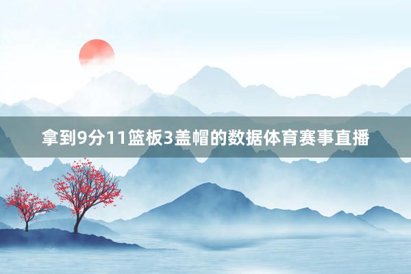 拿到9分11篮板3盖帽的数据体育赛事直播