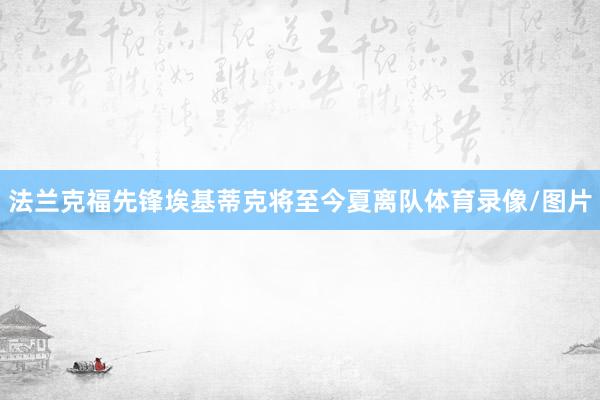法兰克福先锋埃基蒂克将至今夏离队体育录像/图片