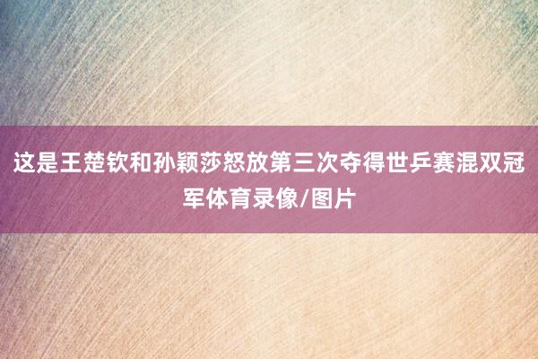 这是王楚钦和孙颖莎怒放第三次夺得世乒赛混双冠军体育录像/图片