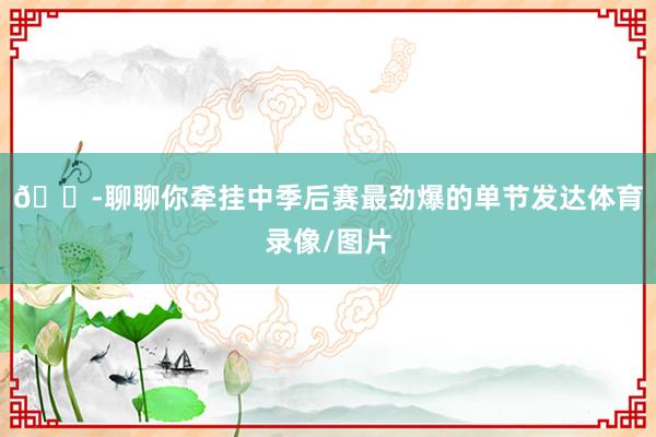 💭聊聊你牵挂中季后赛最劲爆的单节发达体育录像/图片