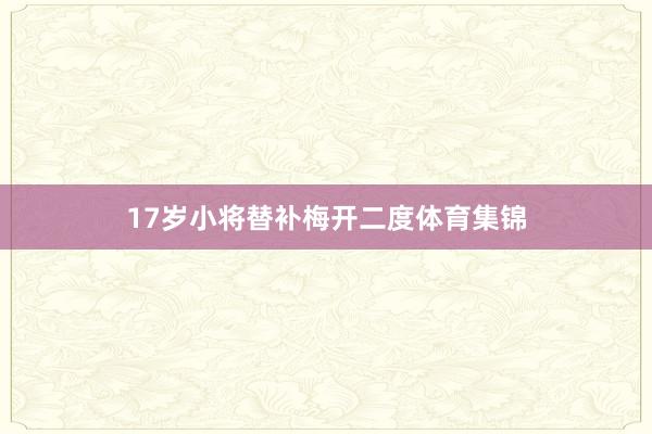 17岁小将替补梅开二度体育集锦