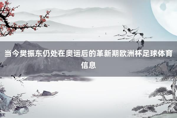 当今樊振东仍处在奥运后的革新期欧洲杯足球体育信息