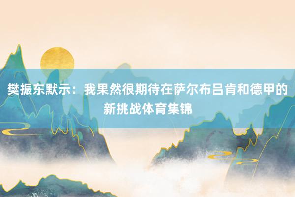 樊振东默示：我果然很期待在萨尔布吕肯和德甲的新挑战体育集锦