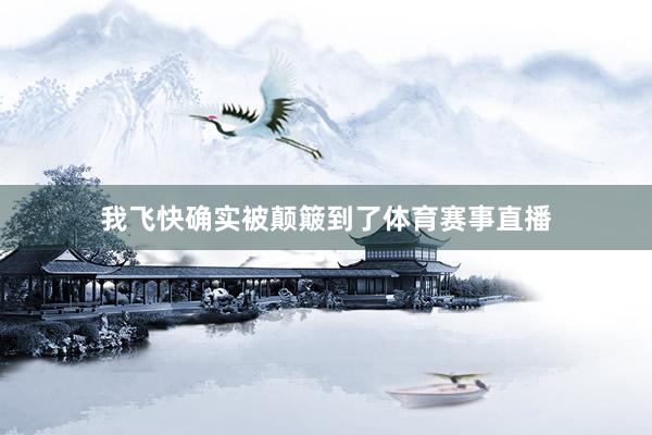 我飞快确实被颠簸到了体育赛事直播