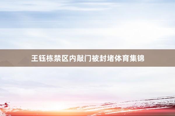 王钰栋禁区内敲门被封堵体育集锦