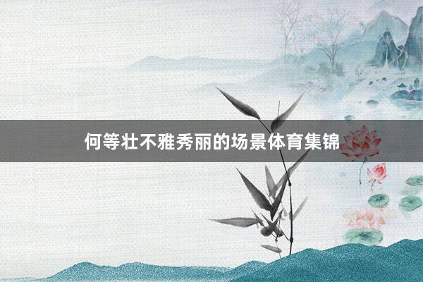 何等壮不雅秀丽的场景体育集锦