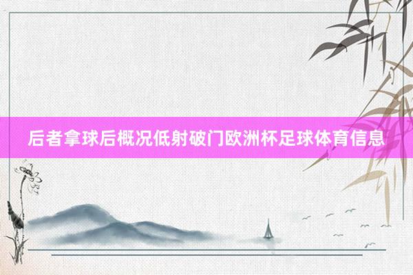 后者拿球后概况低射破门欧洲杯足球体育信息