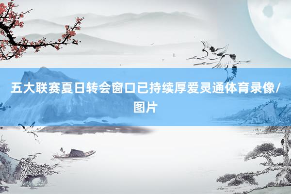 五大联赛夏日转会窗口已持续厚爱灵通体育录像/图片