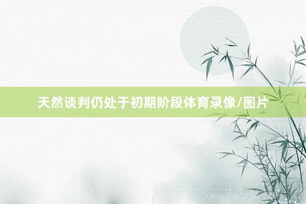 天然谈判仍处于初期阶段体育录像/图片