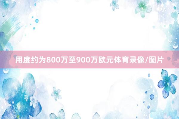用度约为800万至900万欧元体育录像/图片