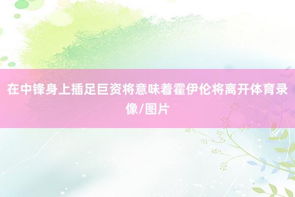 在中锋身上插足巨资将意味着霍伊伦将离开体育录像/图片