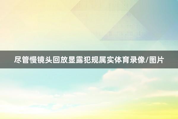 尽管慢镜头回放显露犯规属实体育录像/图片