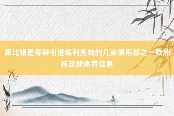 莱比锡是零碎引进埃利奥特的几家俱乐部之一欧洲杯足球体育信息
