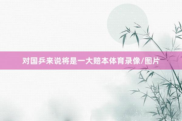 对国乒来说将是一大赔本体育录像/图片