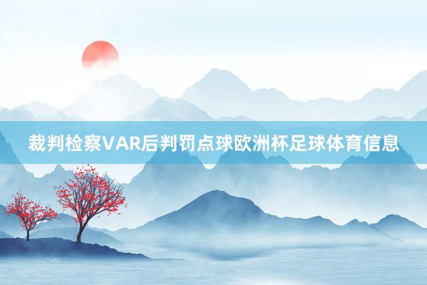 裁判检察VAR后判罚点球欧洲杯足球体育信息