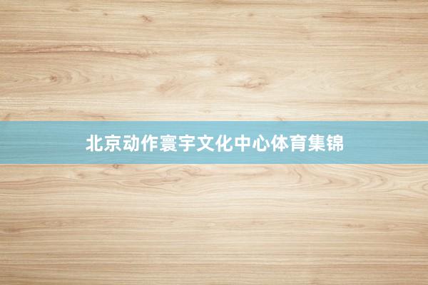 北京动作寰宇文化中心体育集锦