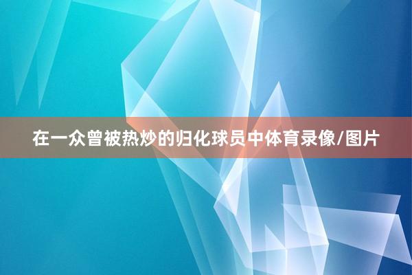 在一众曾被热炒的归化球员中体育录像/图片