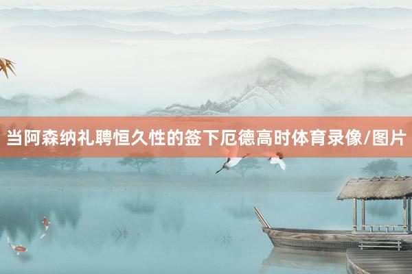 当阿森纳礼聘恒久性的签下厄德高时体育录像/图片