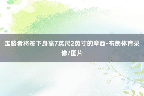 走路者将签下身高7英尺2英寸的摩西-布朗体育录像/图片