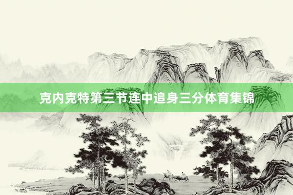 克内克特第三节连中追身三分体育集锦