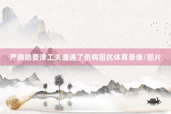 严鼎皓要津工夫遭遇了伤病困扰体育录像/图片