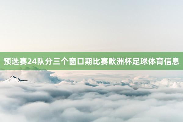 预选赛24队分三个窗口期比赛欧洲杯足球体育信息