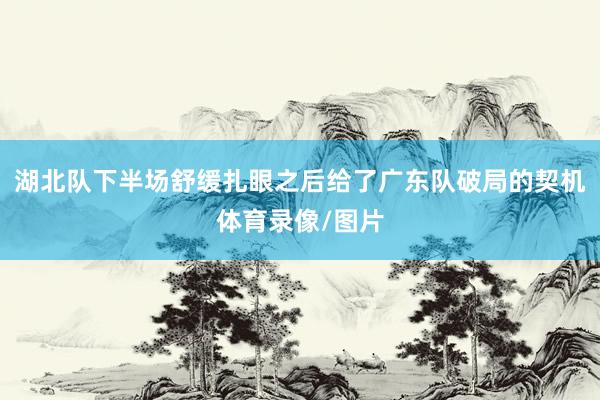 湖北队下半场舒缓扎眼之后给了广东队破局的契机体育录像/图片