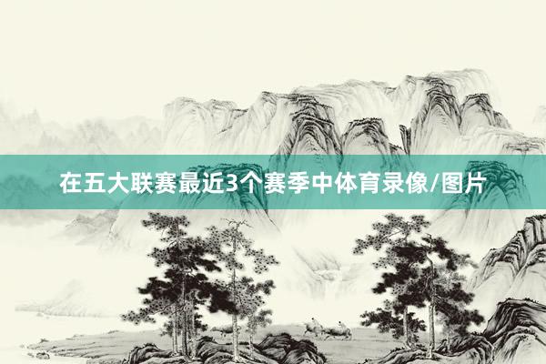 在五大联赛最近3个赛季中体育录像/图片