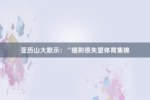 亚历山大默示：“细则很失望体育集锦