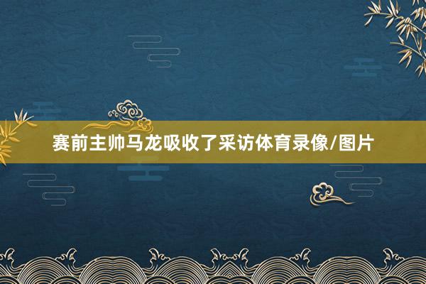 赛前主帅马龙吸收了采访体育录像/图片