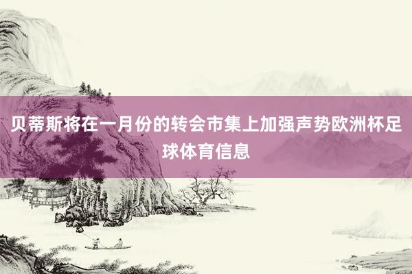 贝蒂斯将在一月份的转会市集上加强声势欧洲杯足球体育信息