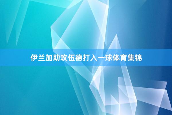 伊兰加助攻伍德打入一球体育集锦
