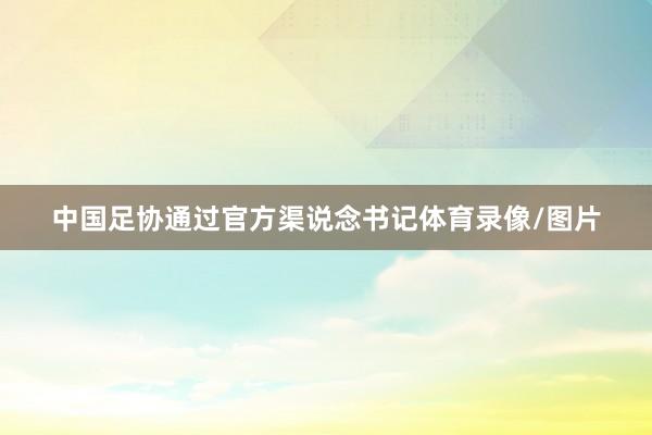中国足协通过官方渠说念书记体育录像/图片
