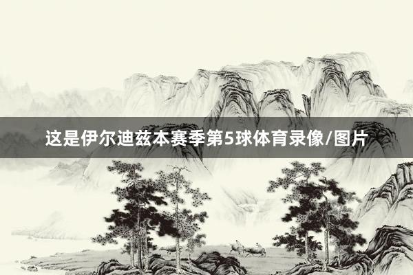 这是伊尔迪兹本赛季第5球体育录像/图片