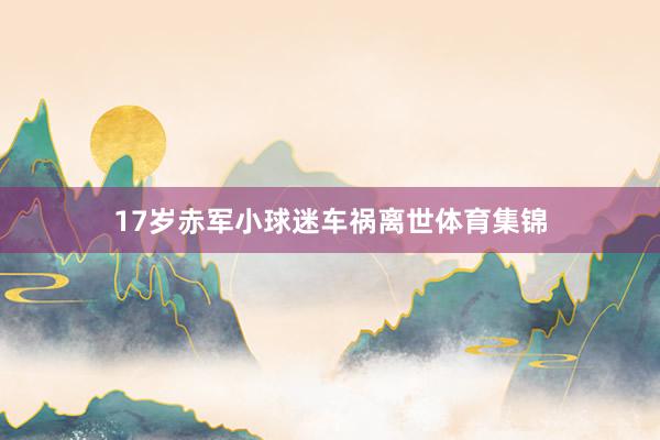17岁赤军小球迷车祸离世体育集锦