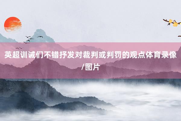 英超训诫们不错抒发对裁判或判罚的观点体育录像/图片