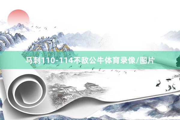 马刺110-114不敌公牛体育录像/图片