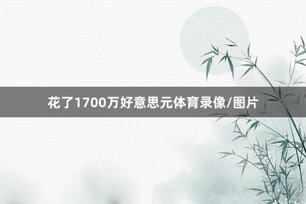 花了1700万好意思元体育录像/图片