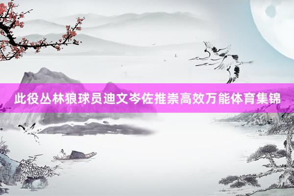 此役丛林狼球员迪文岑佐推崇高效万能体育集锦