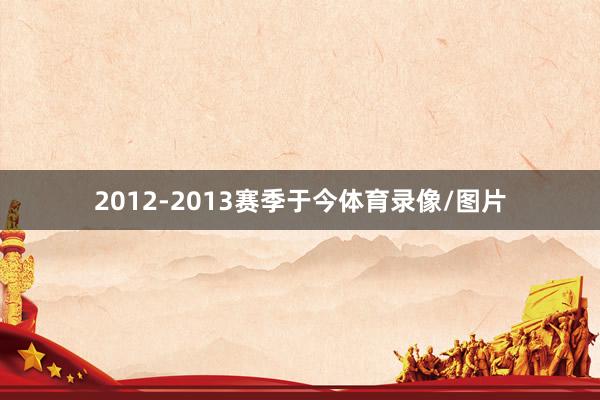 2012-2013赛季于今体育录像/图片